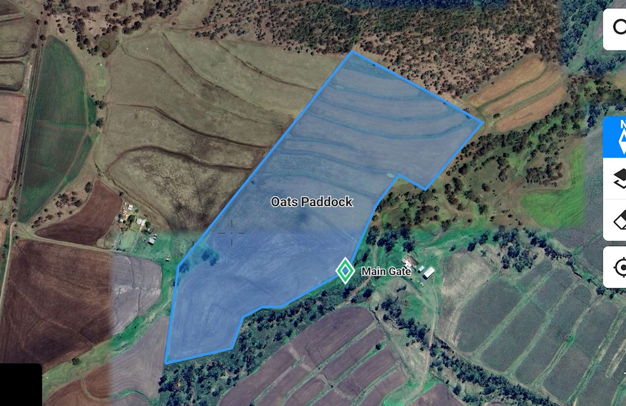 First Contact - Starting the Animals