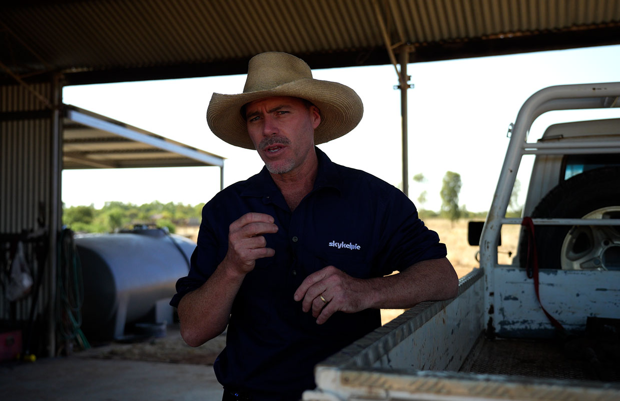 Understanding Stockmanship